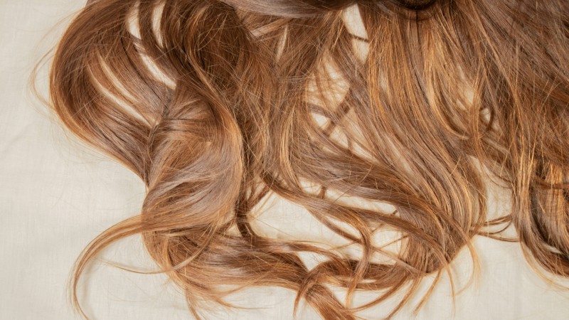 Top Conditioners for Dry, Damaged Hair: Restore Shine in 2025